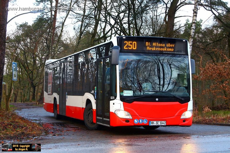 25) 8225-21,SBG,JN.jpg